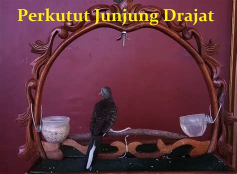 Makna Surung Drajat dalam Kultur Jawa